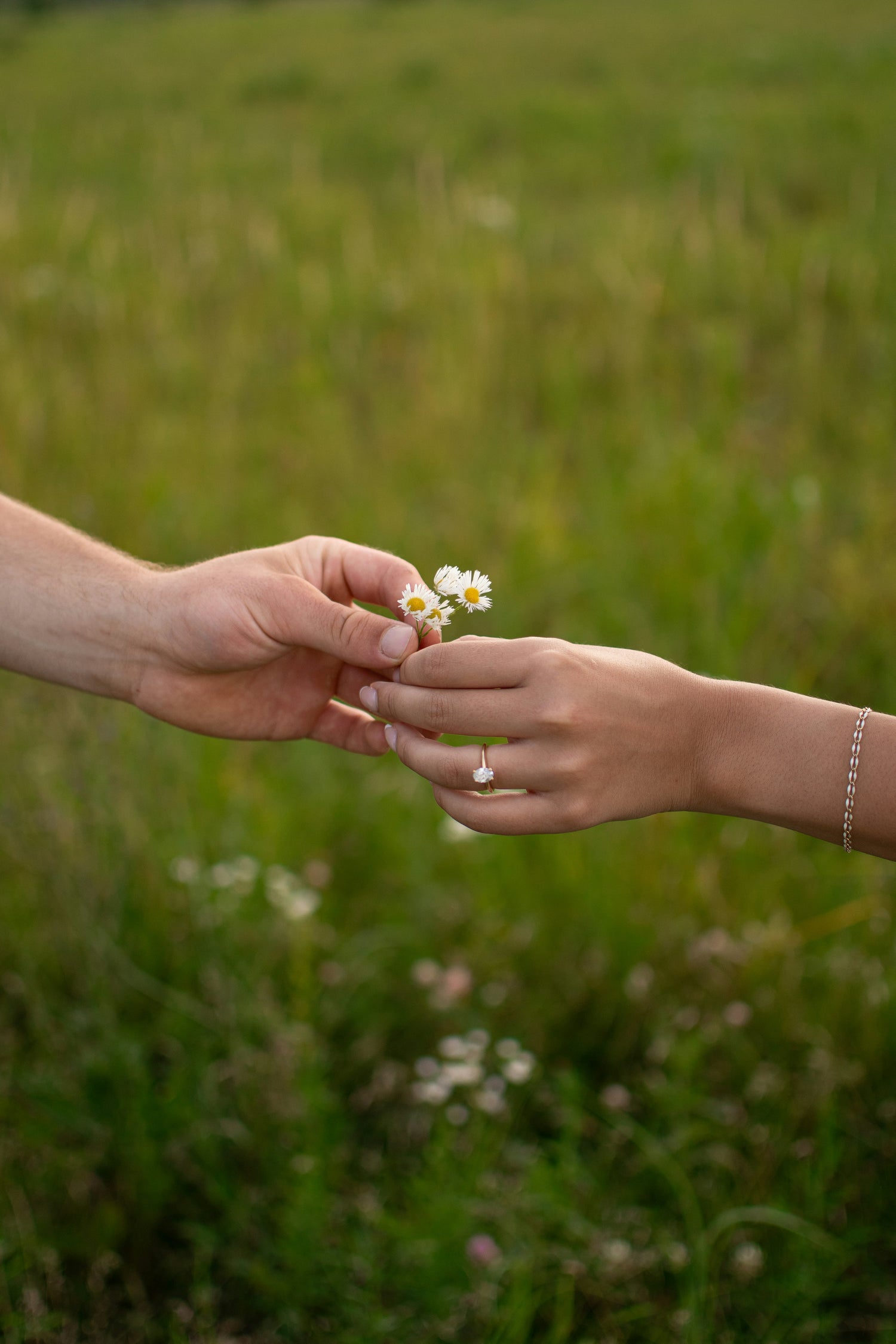 Two hands exchanging a small flower in a grassy field