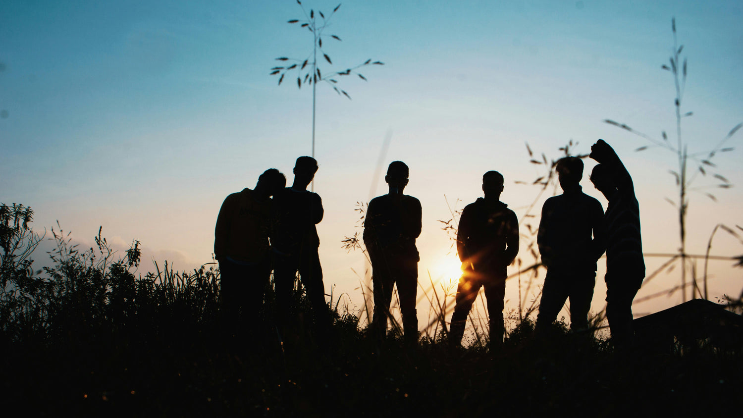 Silhouettes of people against a sunset sky with tall grass.